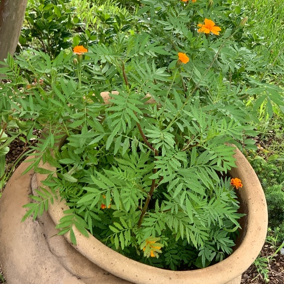 A bit about me… - Picture 5 of 8